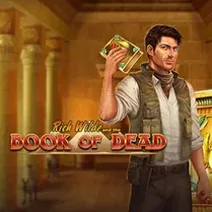 Book of Dead play demo